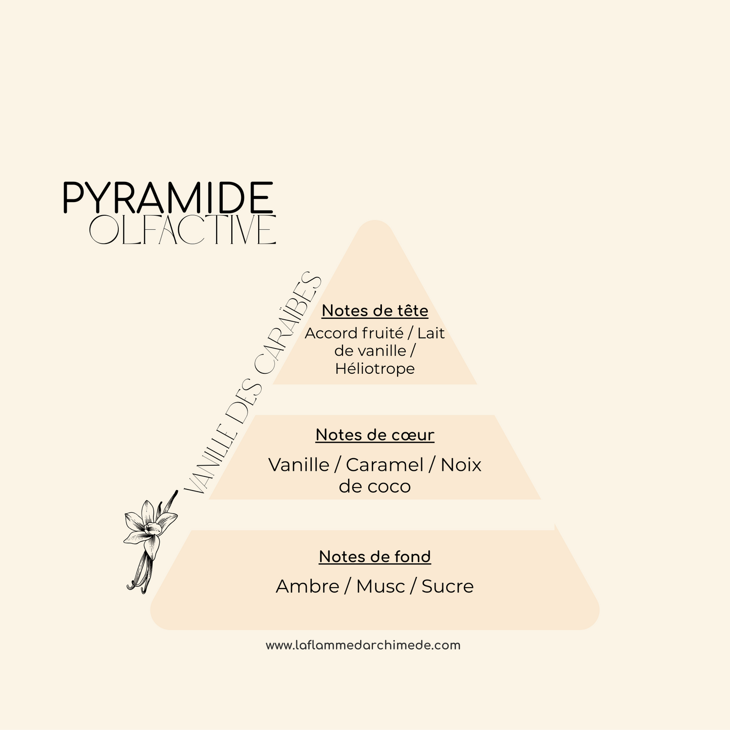 Vanille des Caraïbes