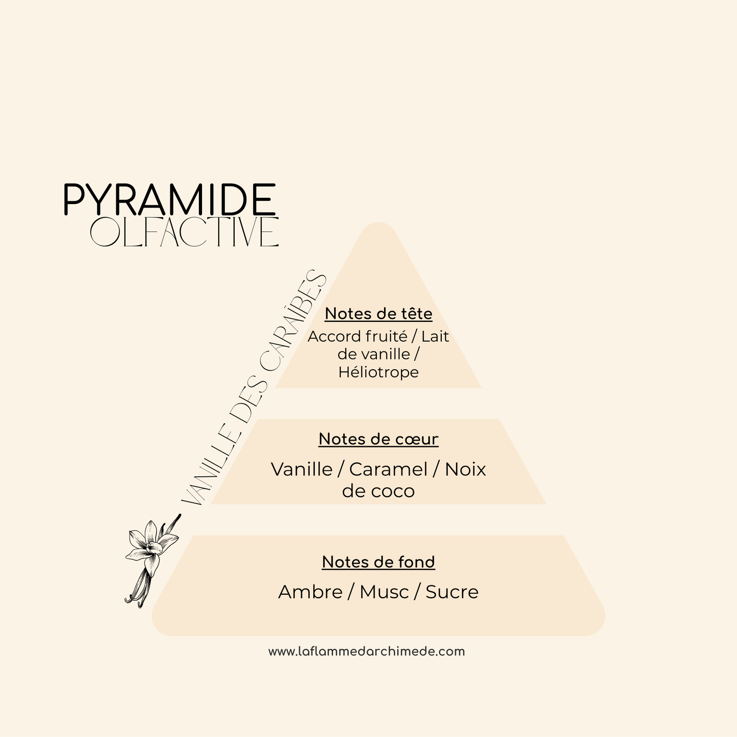 Vanille des Caraïbes