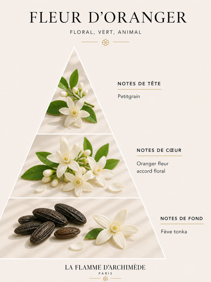 Fleur d'oranger