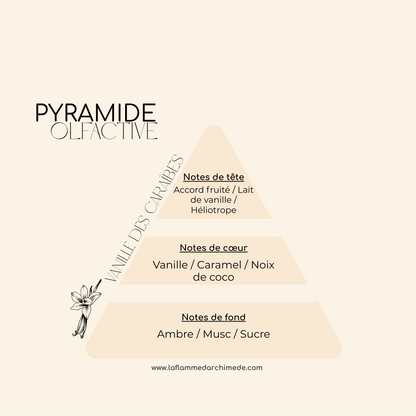 Vanille des Caraïbes