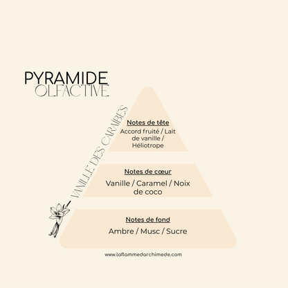 Vanille des Caraïbes